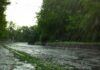 Lluvias y calor: el escenario estacional de El Niño para América Lluvias y calor: el escenario estacional de El Niño para América