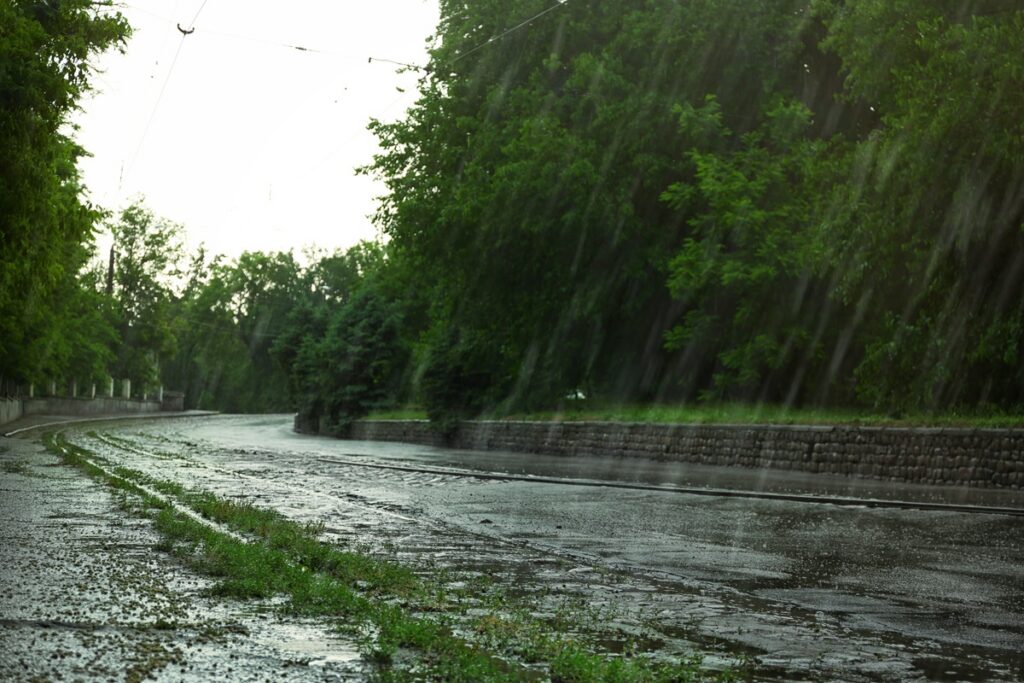 Lluvias y calor: el escenario estacional de El Niño para América