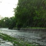 Lluvias y calor: el escenario estacional de El Niño para América