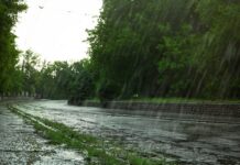 Lluvias y calor: el escenario estacional de El Niño para América Lluvias y calor: el escenario estacional de El Niño para América