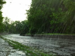 Lluvias y calor: el escenario estacional de El Niño para América Lluvias y calor: el escenario estacional de El Niño para América