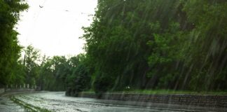 Lluvias y calor: el escenario estacional de El Niño para América Lluvias y calor: el escenario estacional de El Niño para América