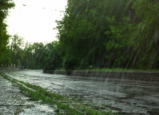 Lluvias y calor: el escenario estacional de El Niño para América Lluvias y calor: el escenario estacional de El Niño para América