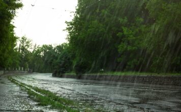 Lluvias y calor: el escenario estacional de El Niño para América Lluvias y calor: el escenario estacional de El Niño para América