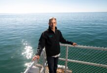 Experto de Cal Poly prevé menos alimento marino ante un posible El Niño intenso Experto de Cal Poly prevé menos alimento marino ante un posible El Niño intenso