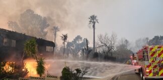 Humo del incendio Eaton contenía más metales tóxicos que el de un incendio forestal Humo del incendio Eaton contenía más metales tóxicos que el de un incendio forestal