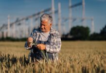 LA USDA estudiará el potencial genético de los cultivos LA USDA estudiará el potencial genético de los cultivos
