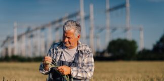 LA USDA estudiará el potencial genético de los cultivos LA USDA estudiará el potencial genético de los cultivos