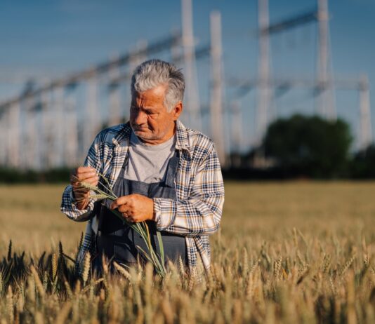 LA USDA estudiará el potencial genético de los cultivos LA USDA estudiará el potencial genético de los cultivos