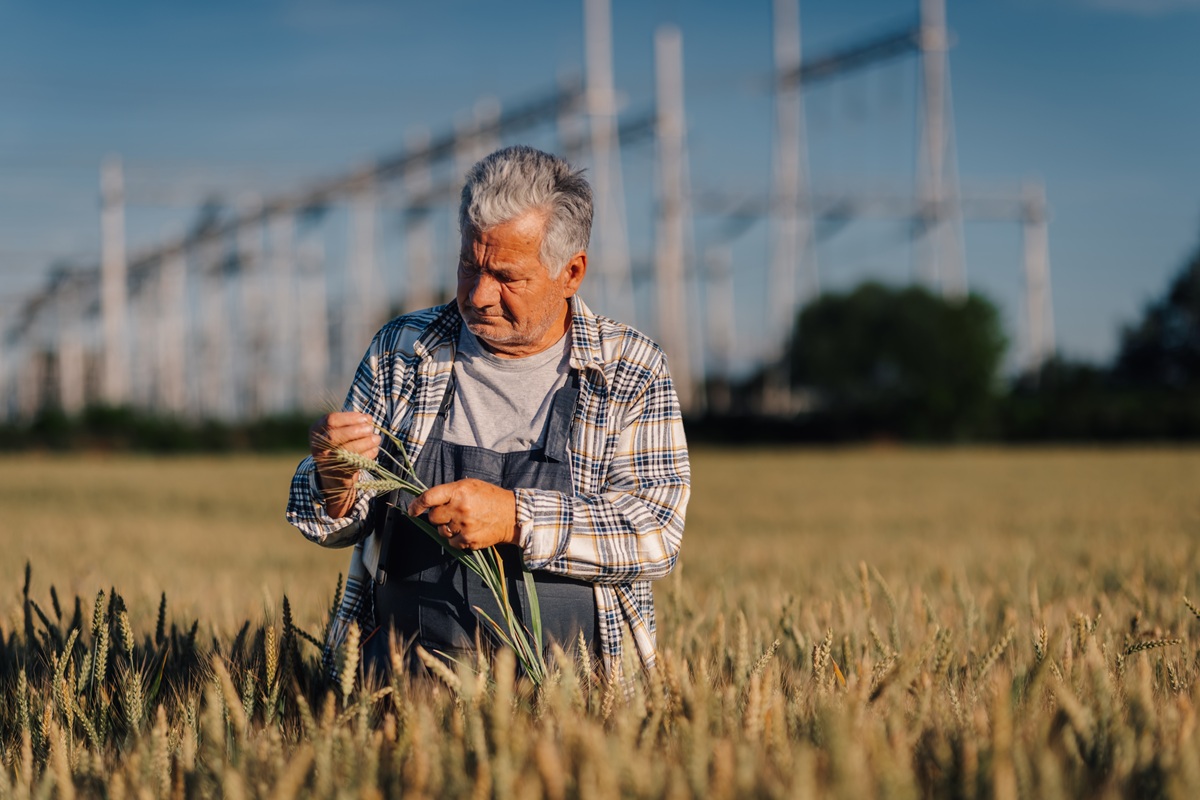 LA USDA estudiará el potencial genético de los cultivos LA USDA estudiará el potencial genético de los cultivos