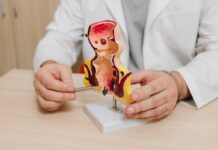 La FDA aprueba Jemperli para un grupo específico de cáncer rectal La FDA aprueba Jemperli para un grupo específico de cáncer rectal