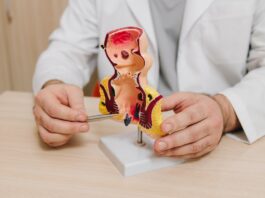 La FDA aprueba Jemperli para un grupo específico de cáncer rectal La FDA aprueba Jemperli para un grupo específico de cáncer rectal
