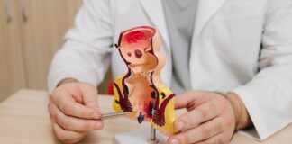 La FDA aprueba Jemperli para un grupo específico de cáncer rectal La FDA aprueba Jemperli para un grupo específico de cáncer rectal