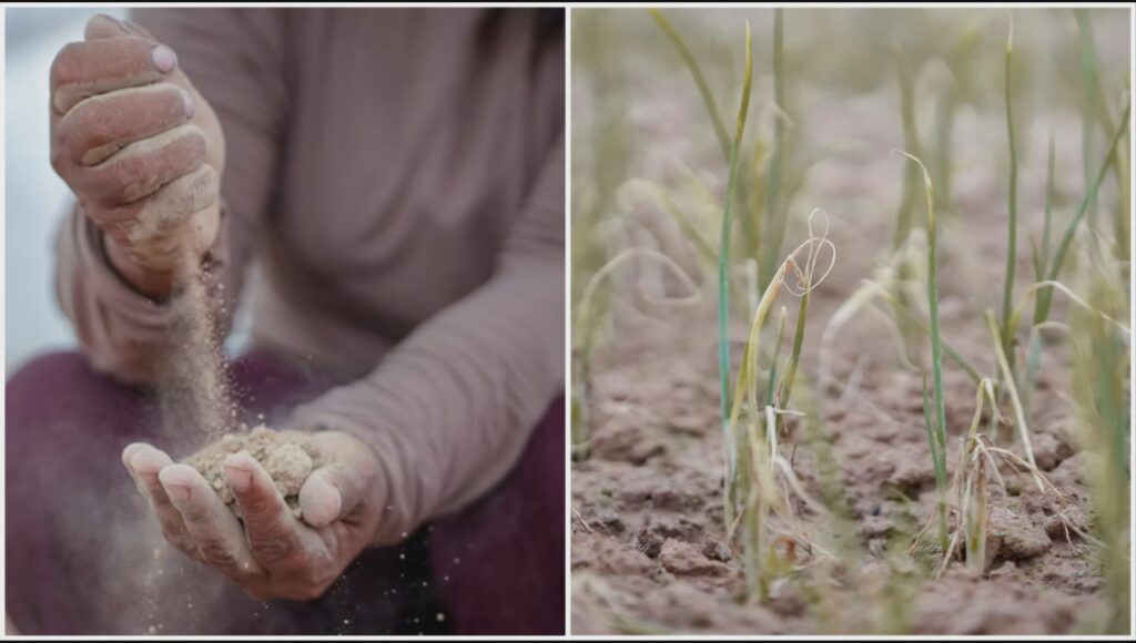Satélites ayudan a agricultores a enfrentar la sequía