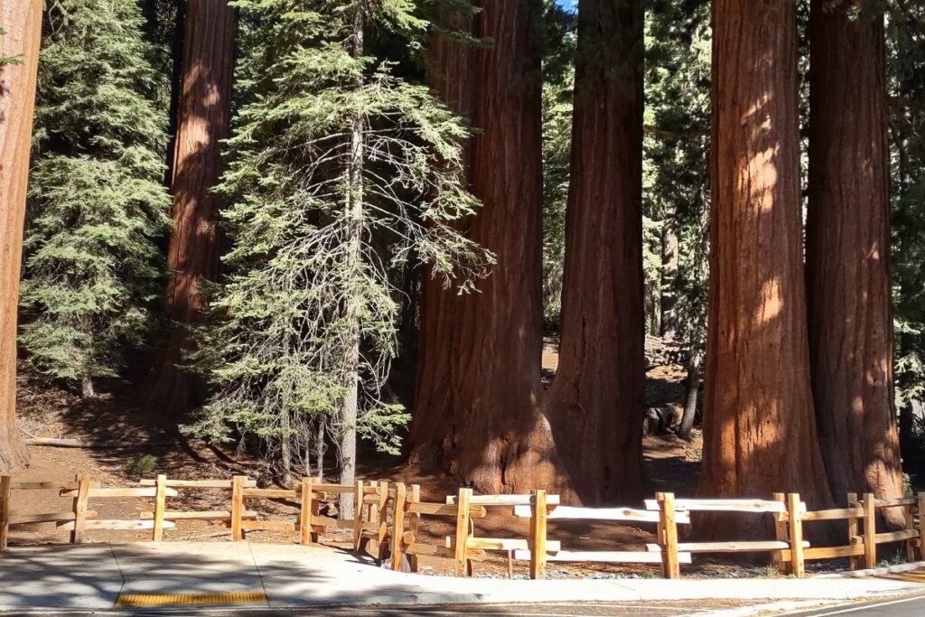 Talleres gratuitos y exposiciones llegarán a parques de California