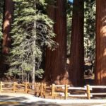 Talleres gratuitos y exposiciones llegarán a parques de California
